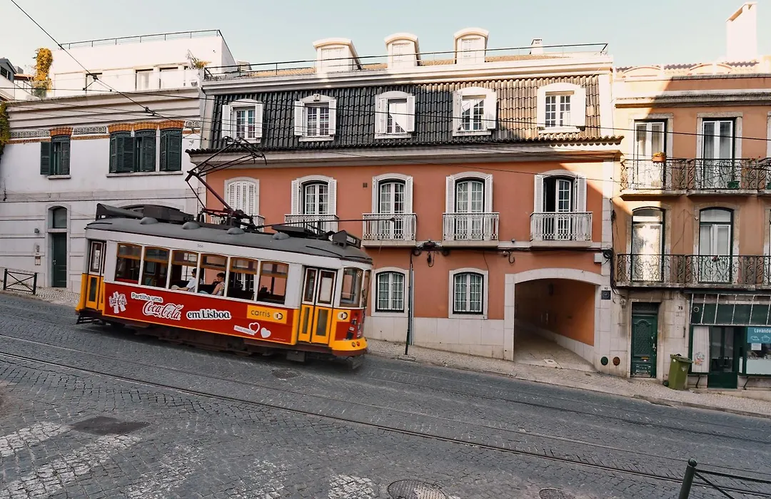 Lapa 82-1