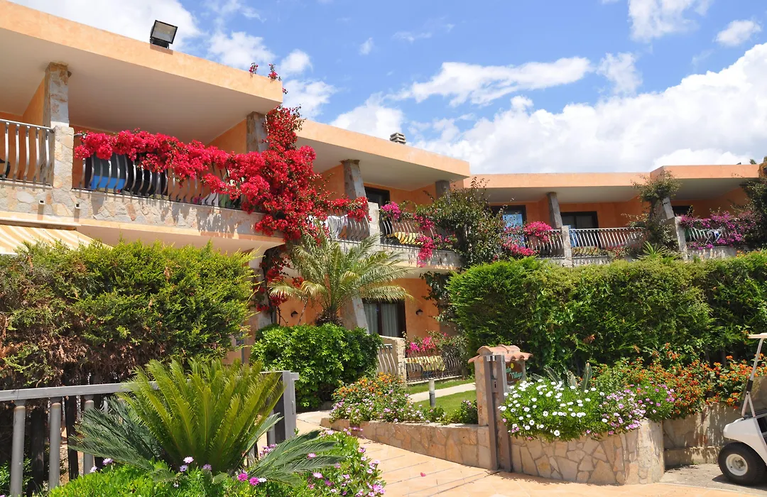 Palm Village-1