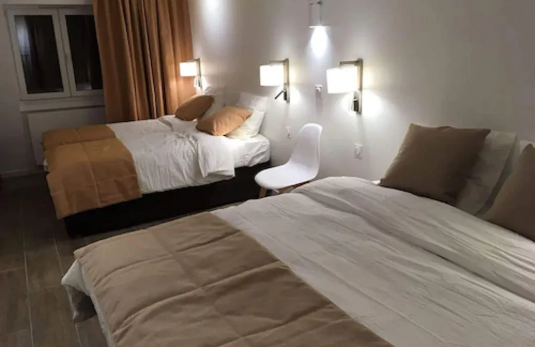 Hotel Ferney République-1