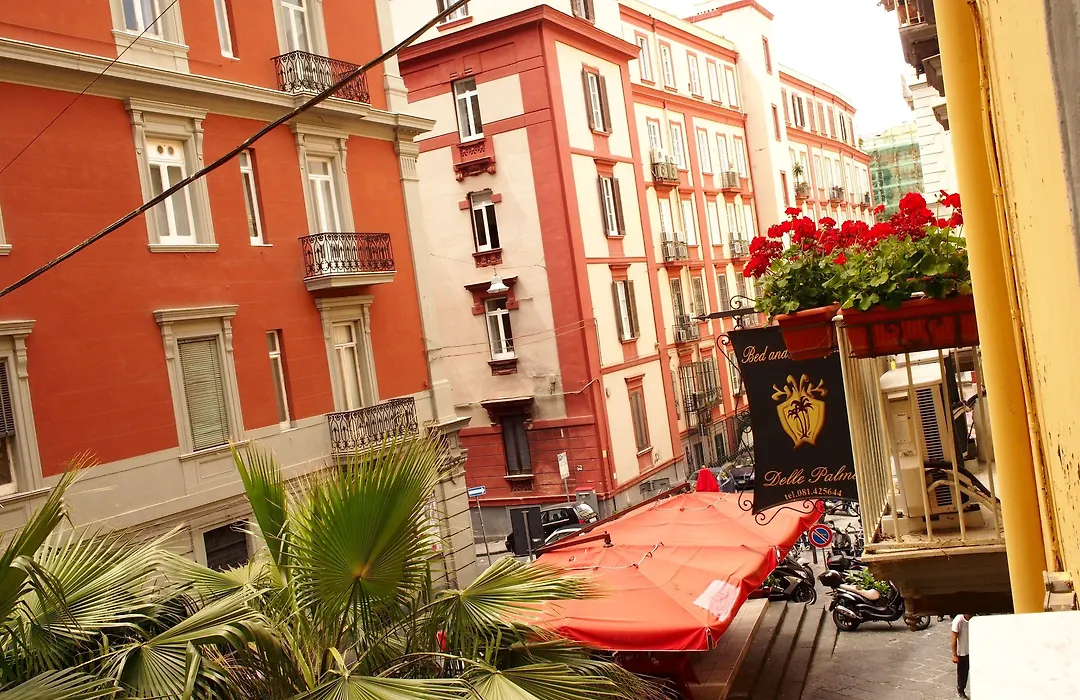B&B Delle Palme-1