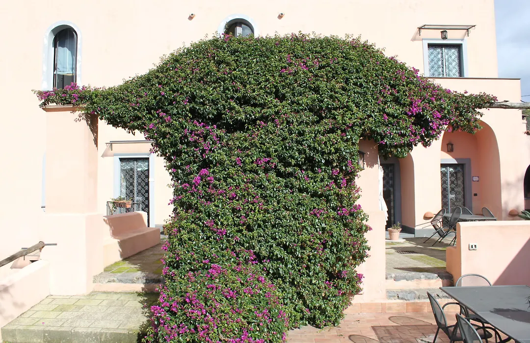 Flegrea House - Casa Rosa-1