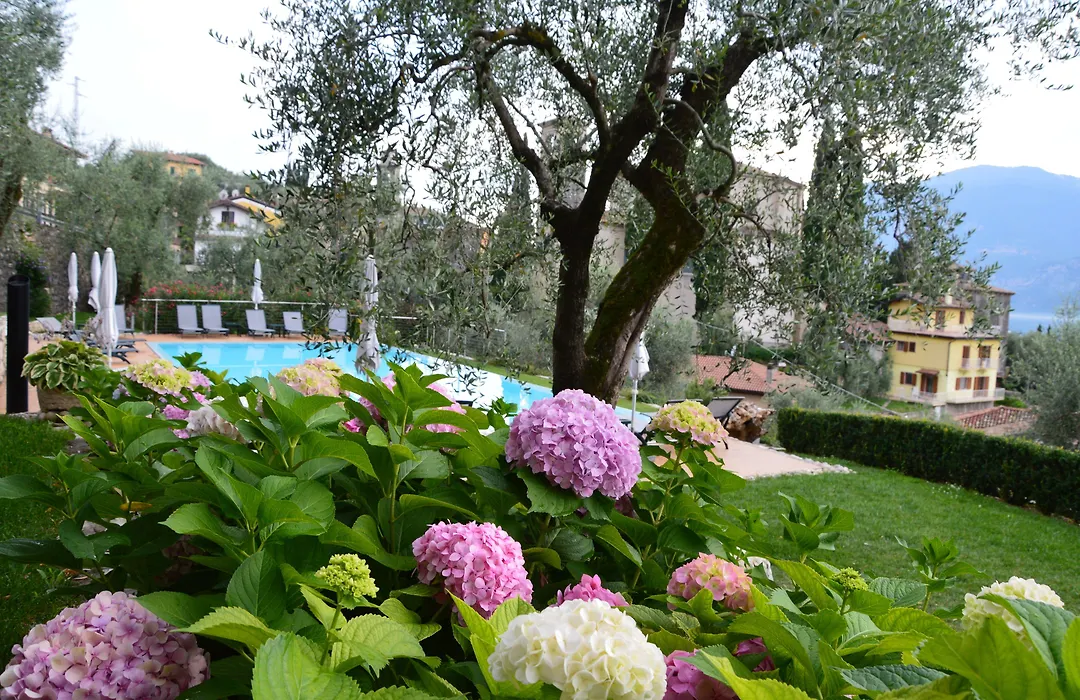 Hotel Garni Selene-1