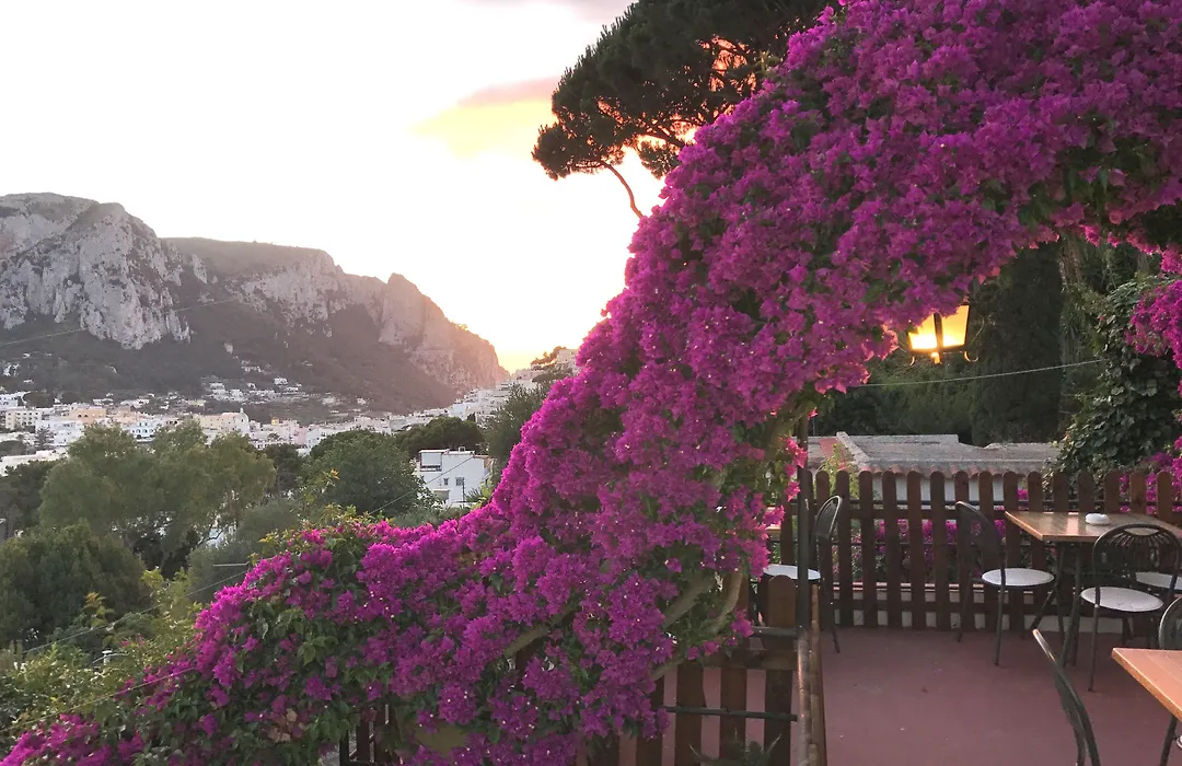 La Reginella Capri-1