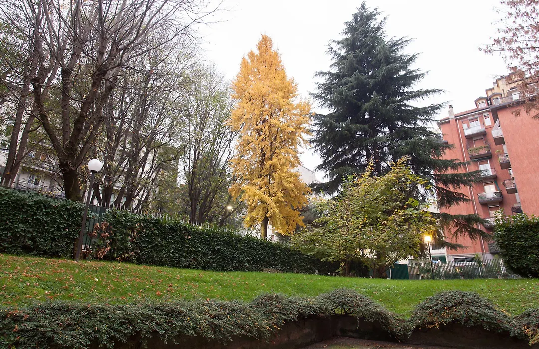 iH Hotels Milano ApartHotel Argonne Park-1