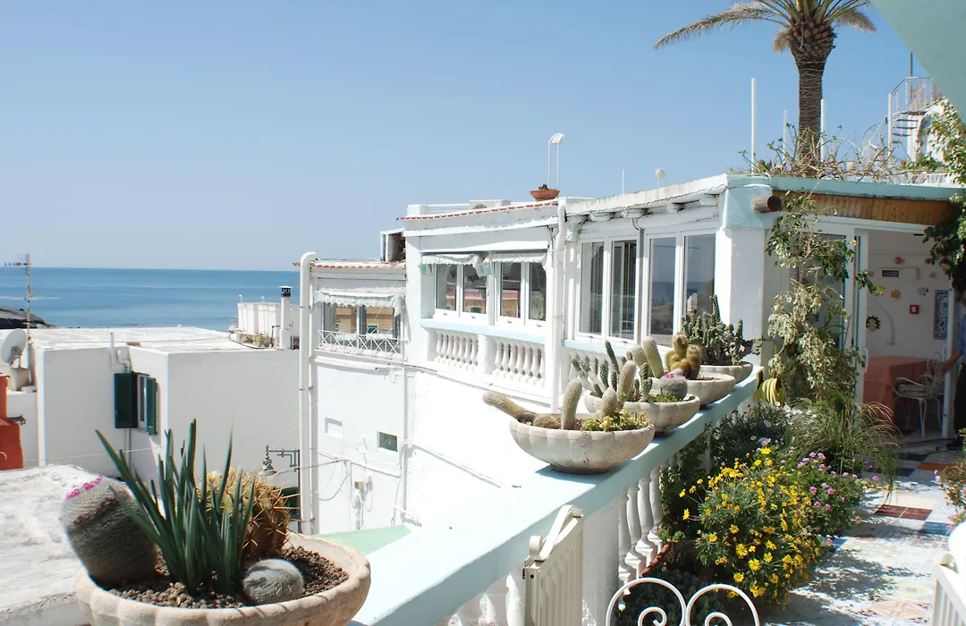 Hotel La Palma-1