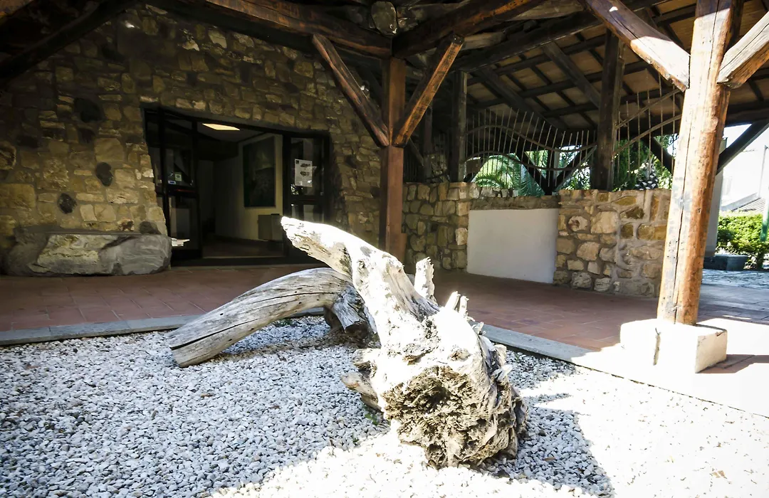 Torre Del Sole-1
