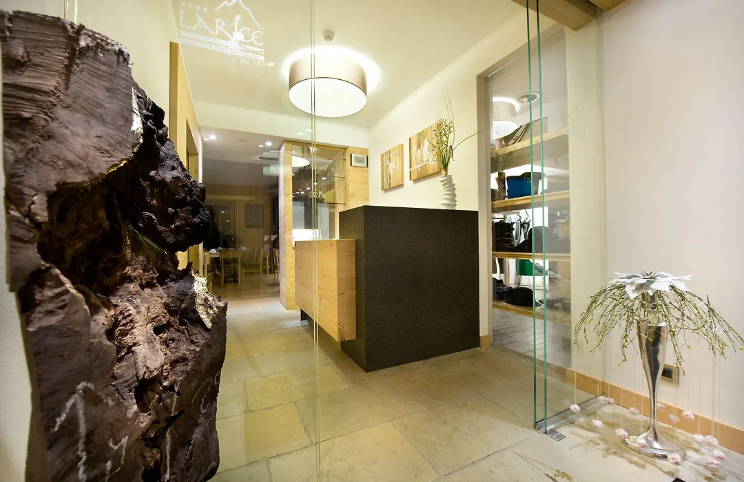 Hotel Larice-1