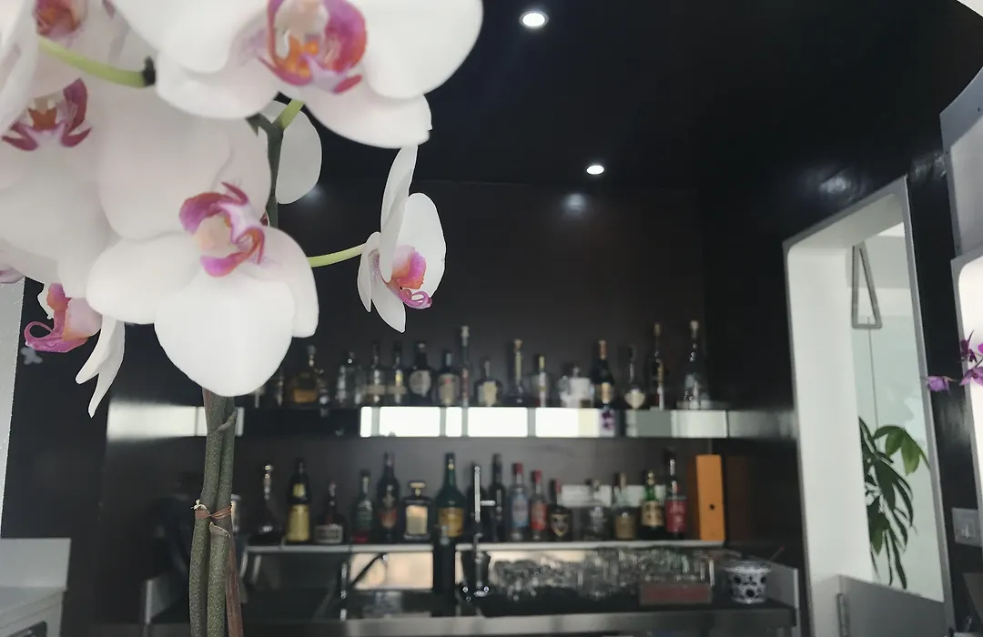 QuiHotel-1