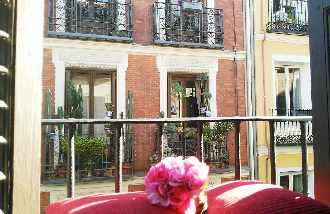 Hostal Bruna Paseo Del Prado-1