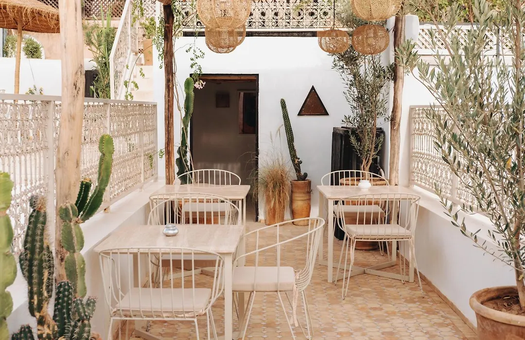 Riad Zi-1