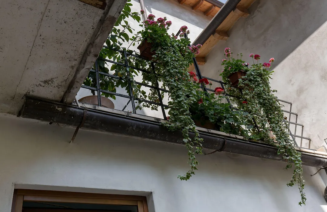 Veronetta House-1