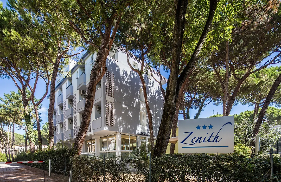 Hotel Meublè Zenith-1