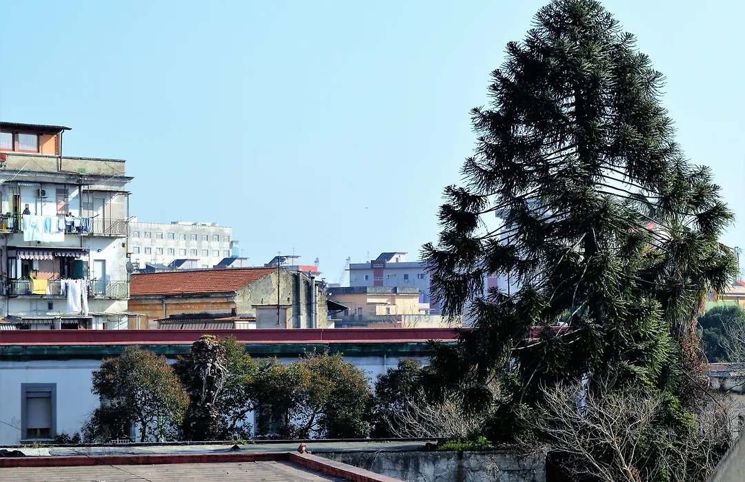 Napoli Station B&B-1
