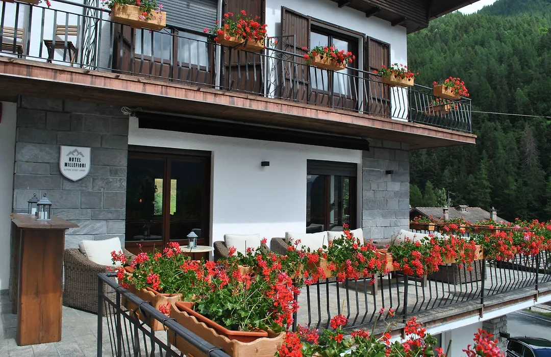 Hotell Millefiori- Alpine Event Lodge-1