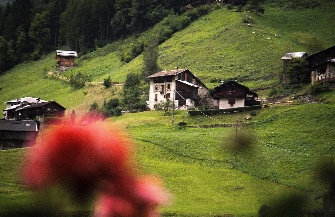 Alpen Hotel Rabbi-1