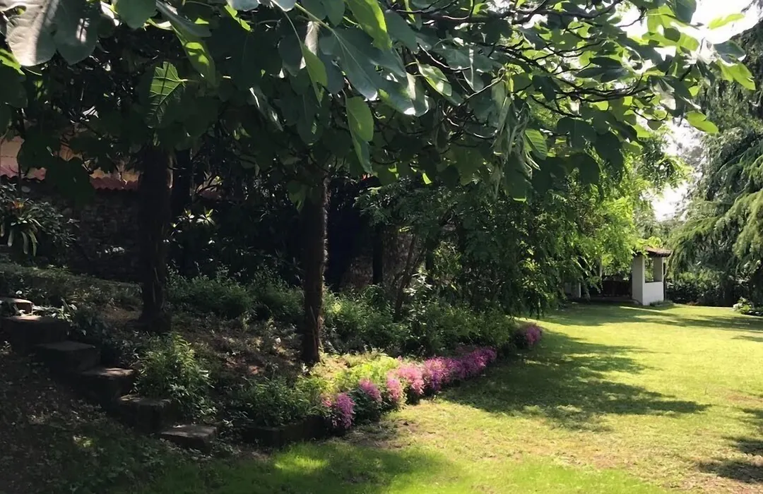 Villa House And Garden B&B-1