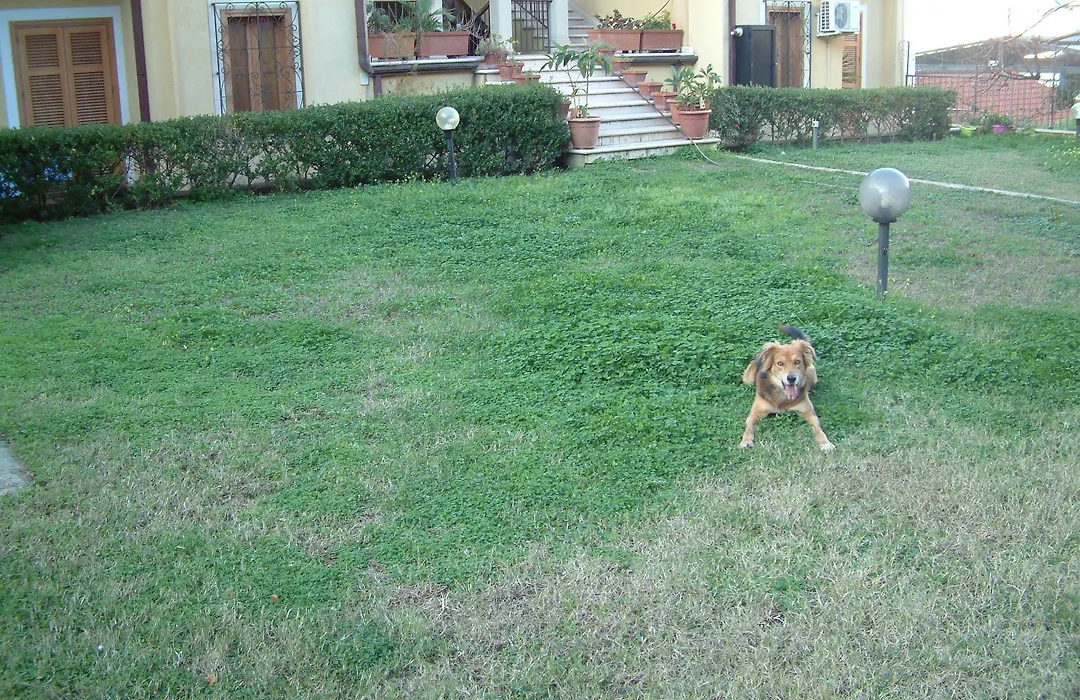 La dimora del borgo-1