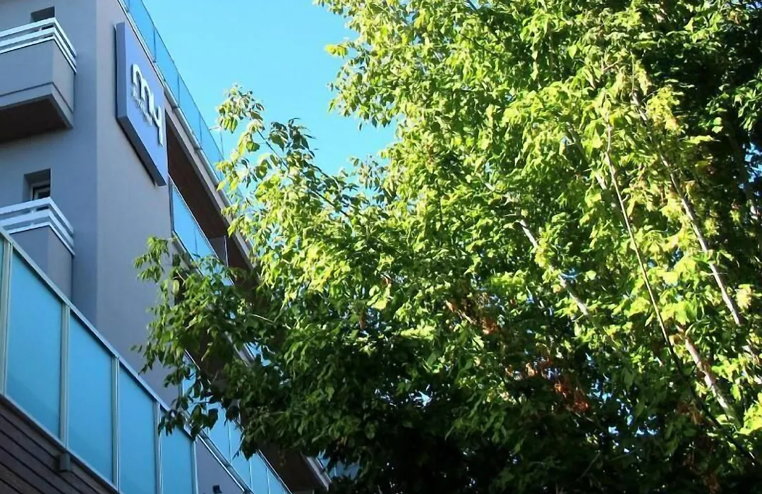 My Hotel-1