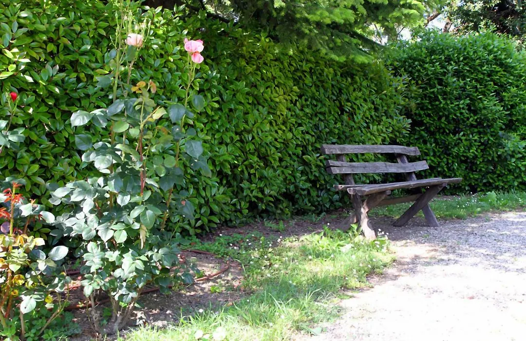 Borgo Al Navile B&B-1