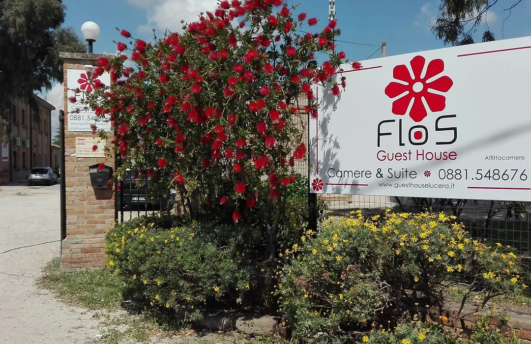 Flos Guest House-1