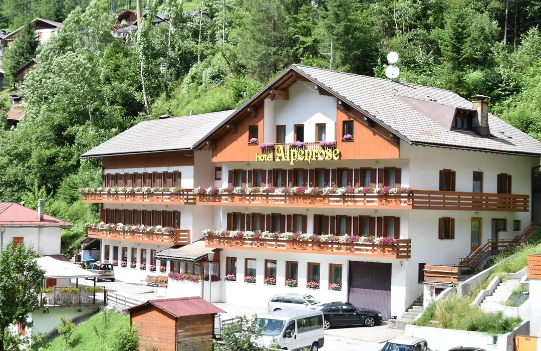 Hotel Alpenrose-1