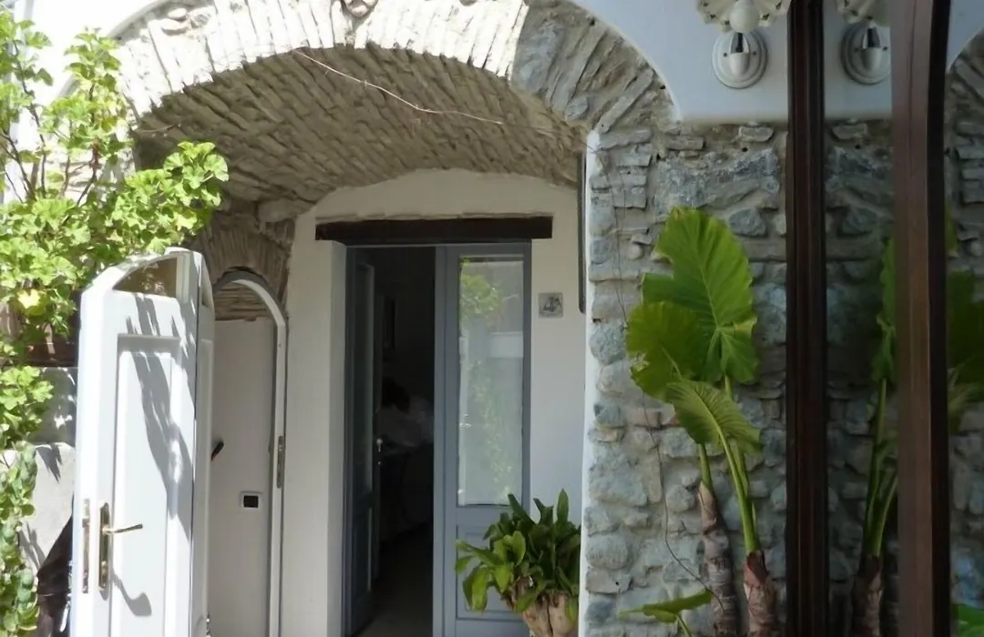 B&B Amphisya-1