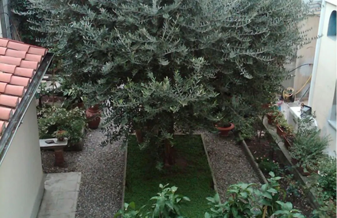 B&B Il Bacchino-1