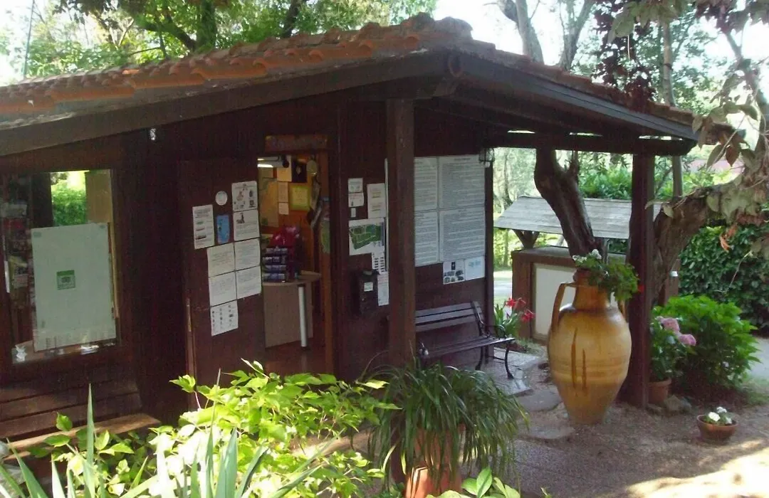 Camping Azzurro-1
