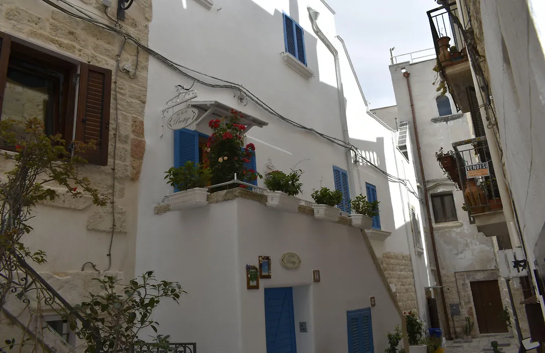 B&B Prestige-1