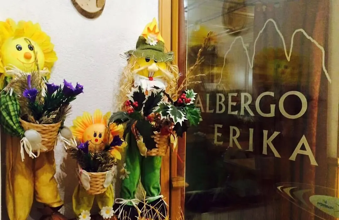 Albergo Erika-1