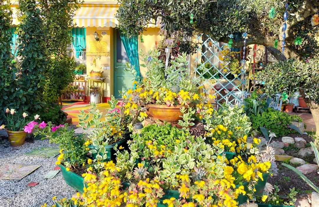 B&B Peschi in Fiore-1