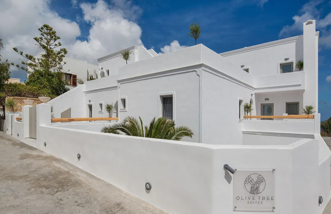 Olive Tree Suites-1