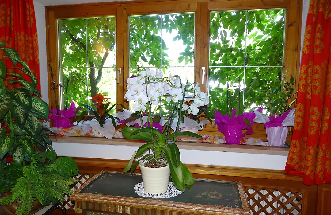 Pension Rainhof-1