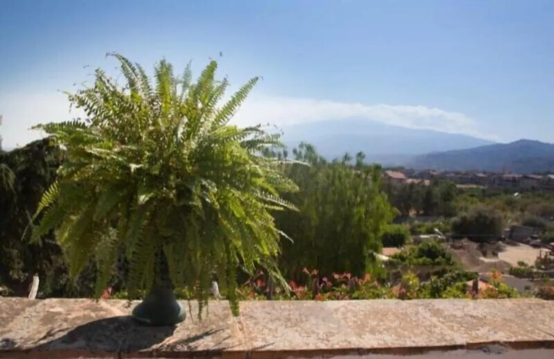 B&B Villa Accademia-1