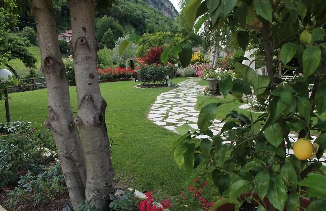 Hotel Calvi-Ristorante Mainor-1