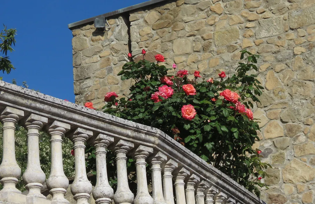 Residence Il Castagno-1