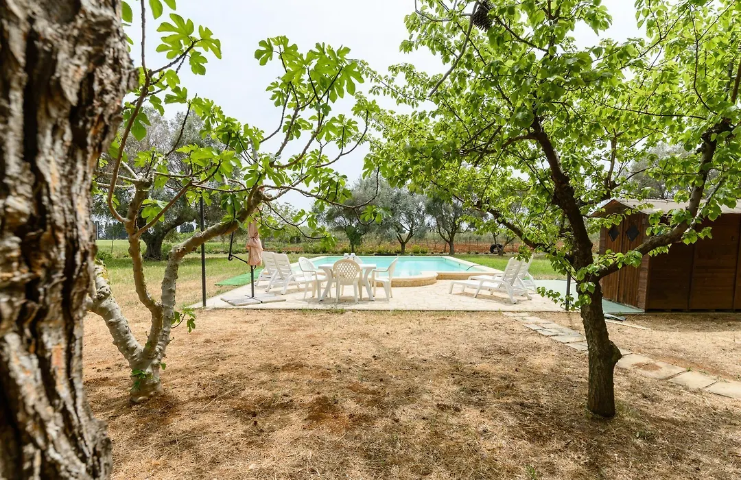 Villa Salento Green Con Piscina By Wonderful Italy-1