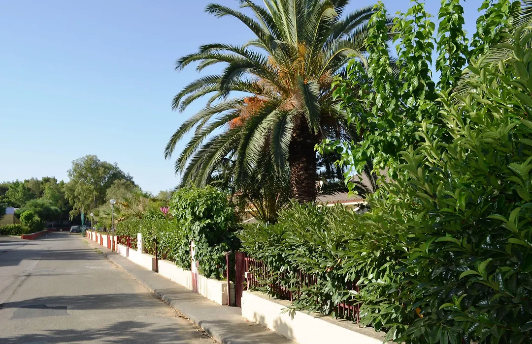 Villaggio Le Palatine-1