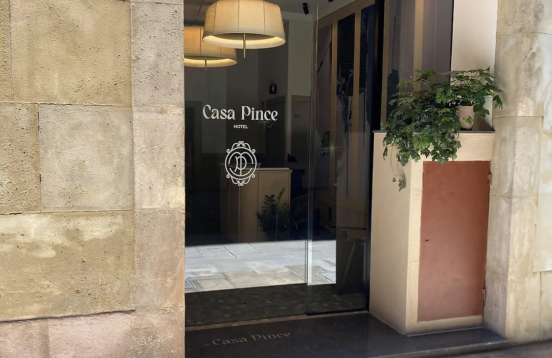 Casa Pince-1