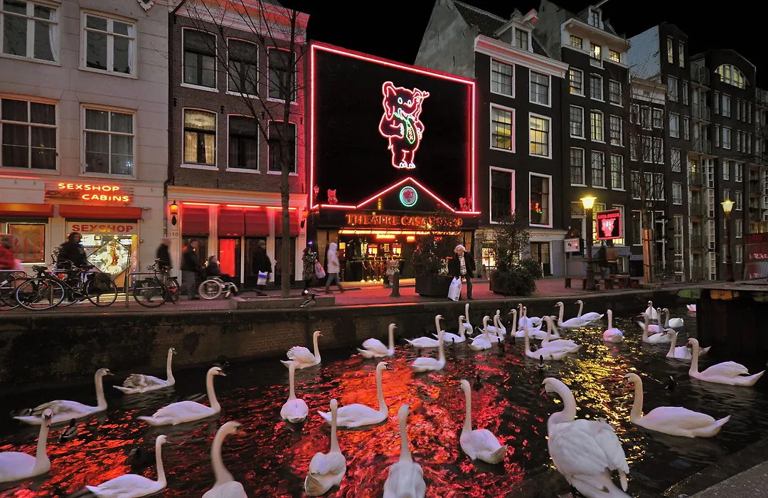 Hotel & Bar Royal Taste Amsterdam-1