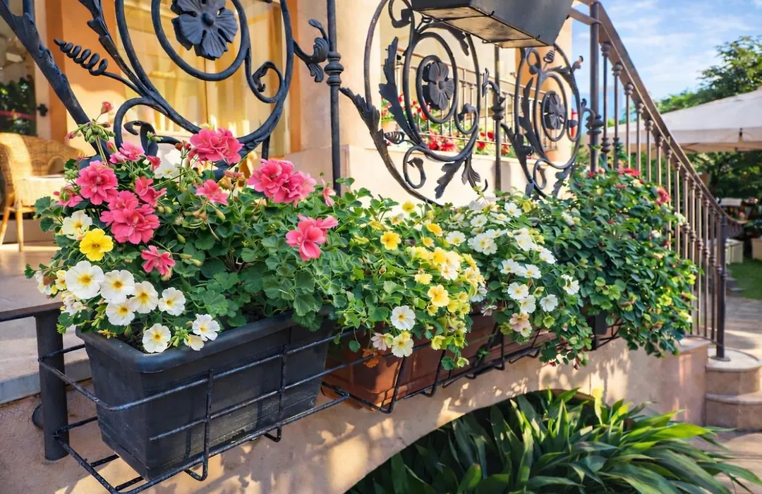 Villa Gioiosa Beach&Water Park B&B-1