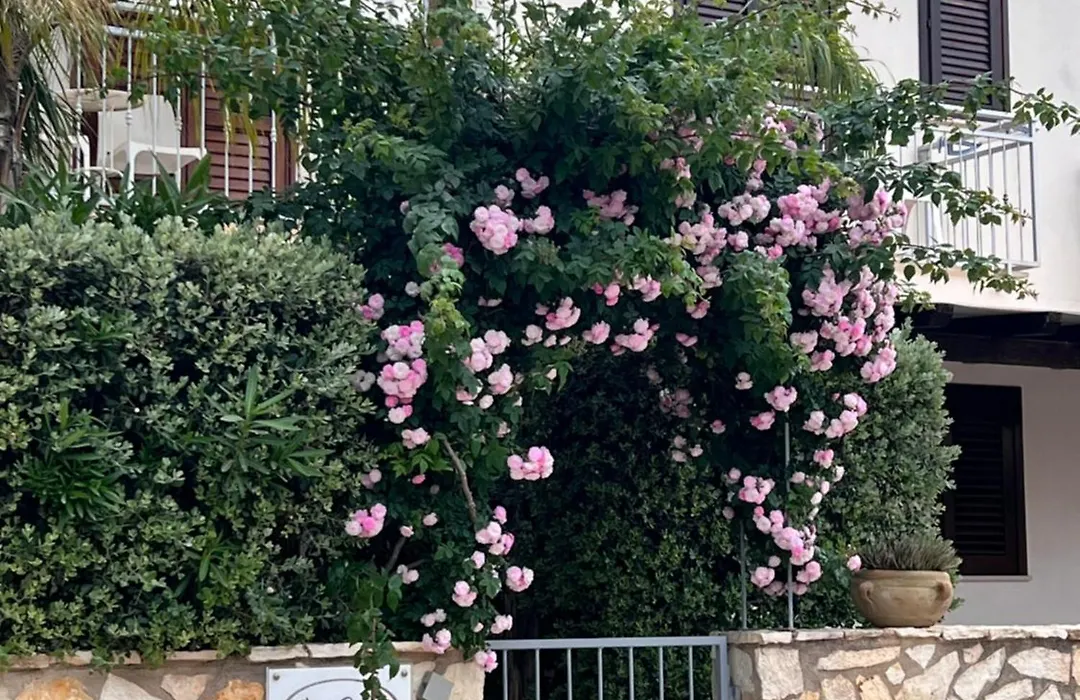 Cima Bianca-1