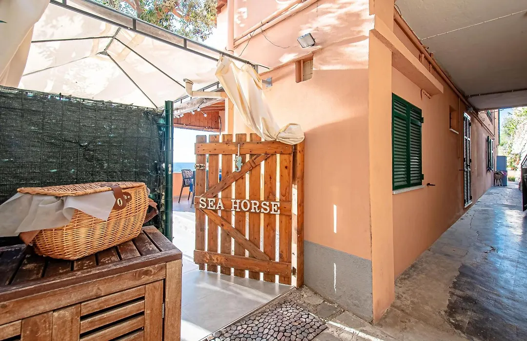 SEAHORSEROOM - Frontemare con Idromassaggio-1