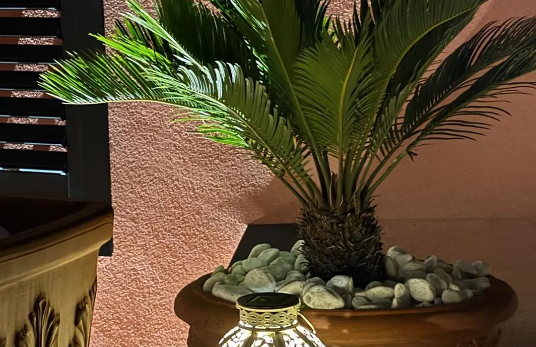 La Maison Rose-1