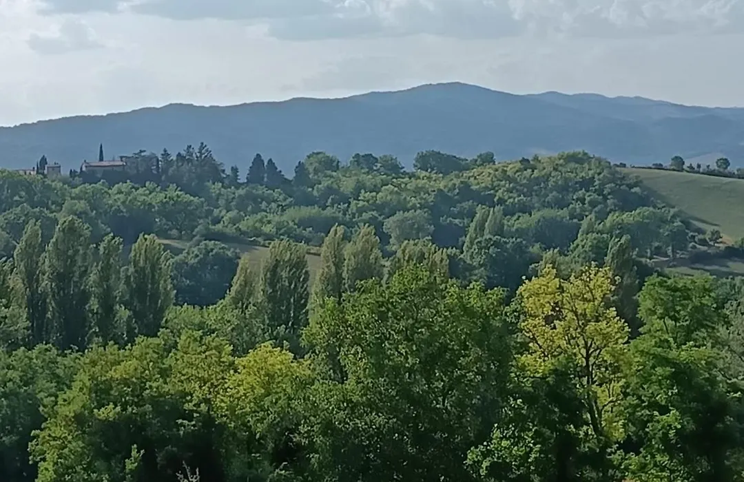 Cortemaggio-1