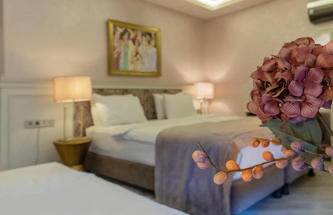 Ayramin Deluxe Hotel Taksim-1
