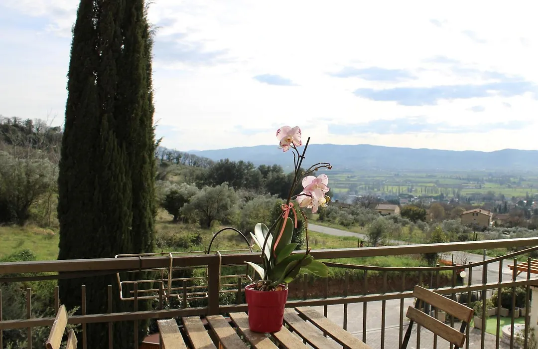 Viole Country Hotel-1