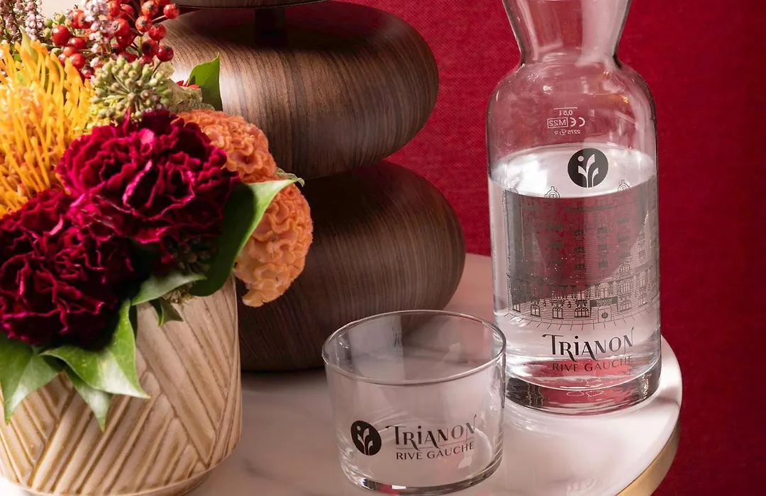 Hotel Trianon Rive Gauche-1