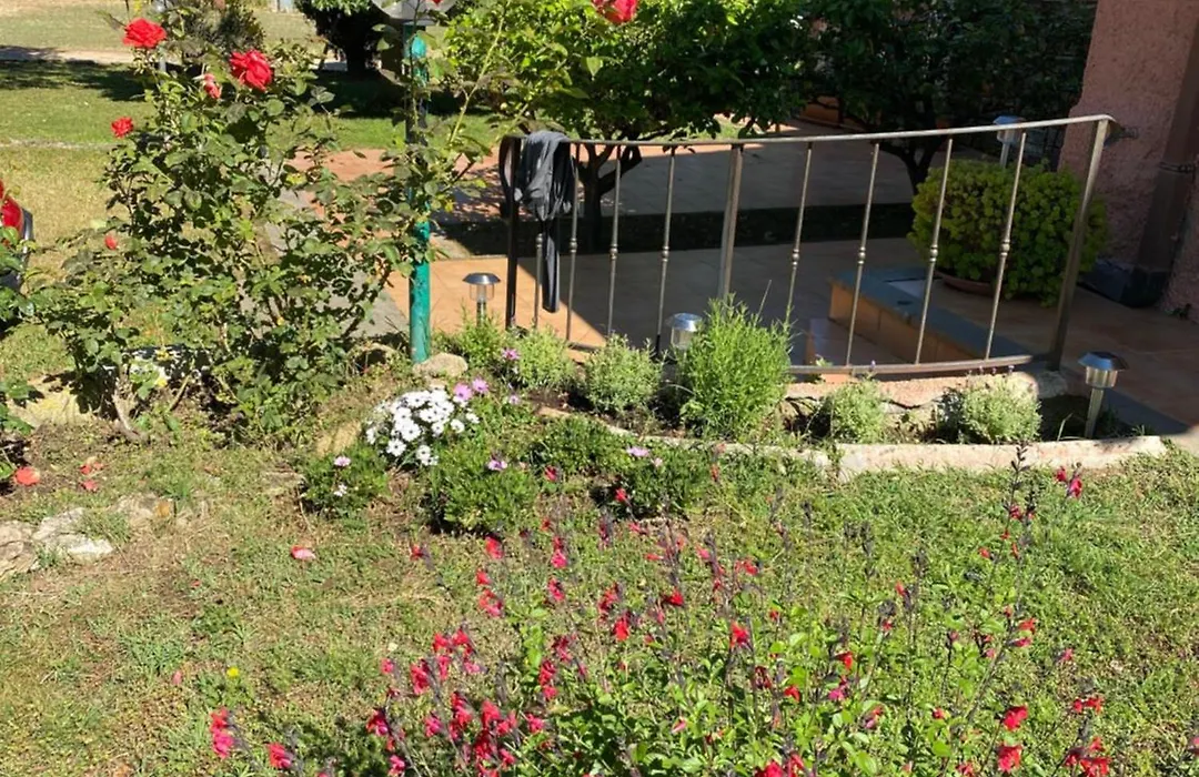 Casa Diana-1