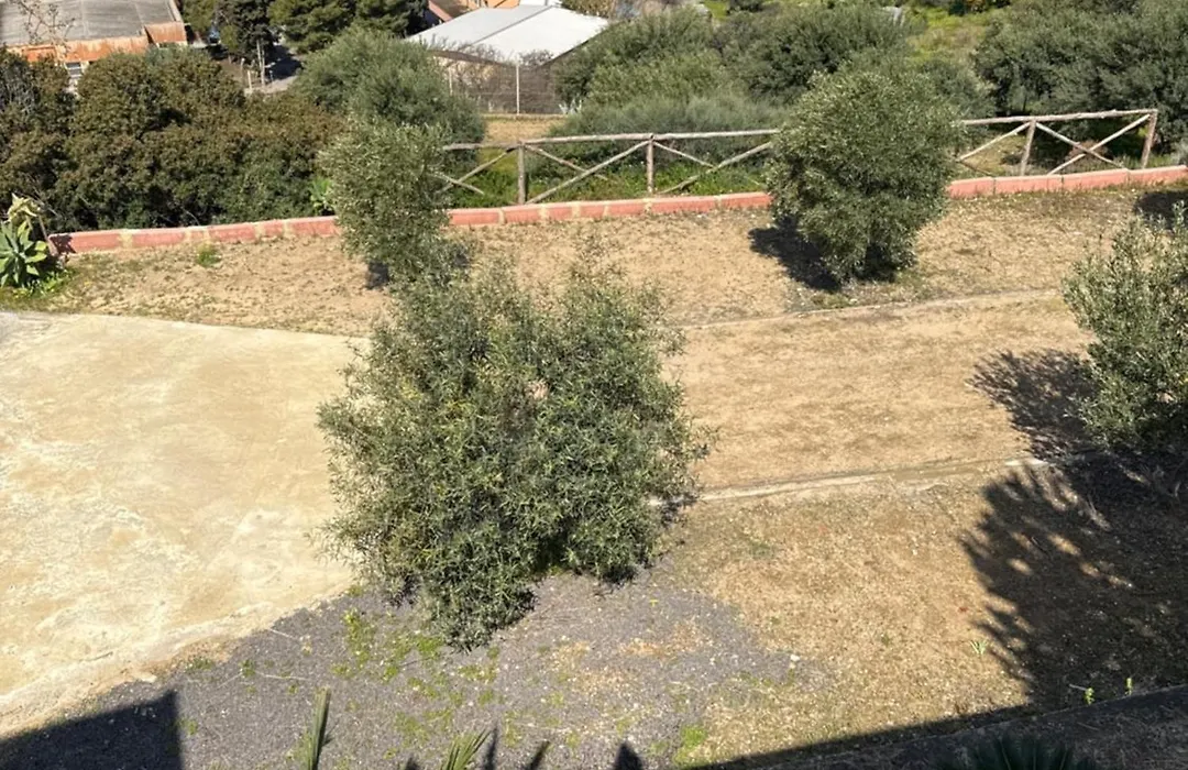 Bed&Breakfast della Palma-1